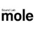 Sound lab mole